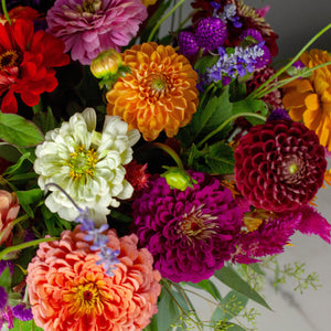 Designer's Choice JEWEL TONES