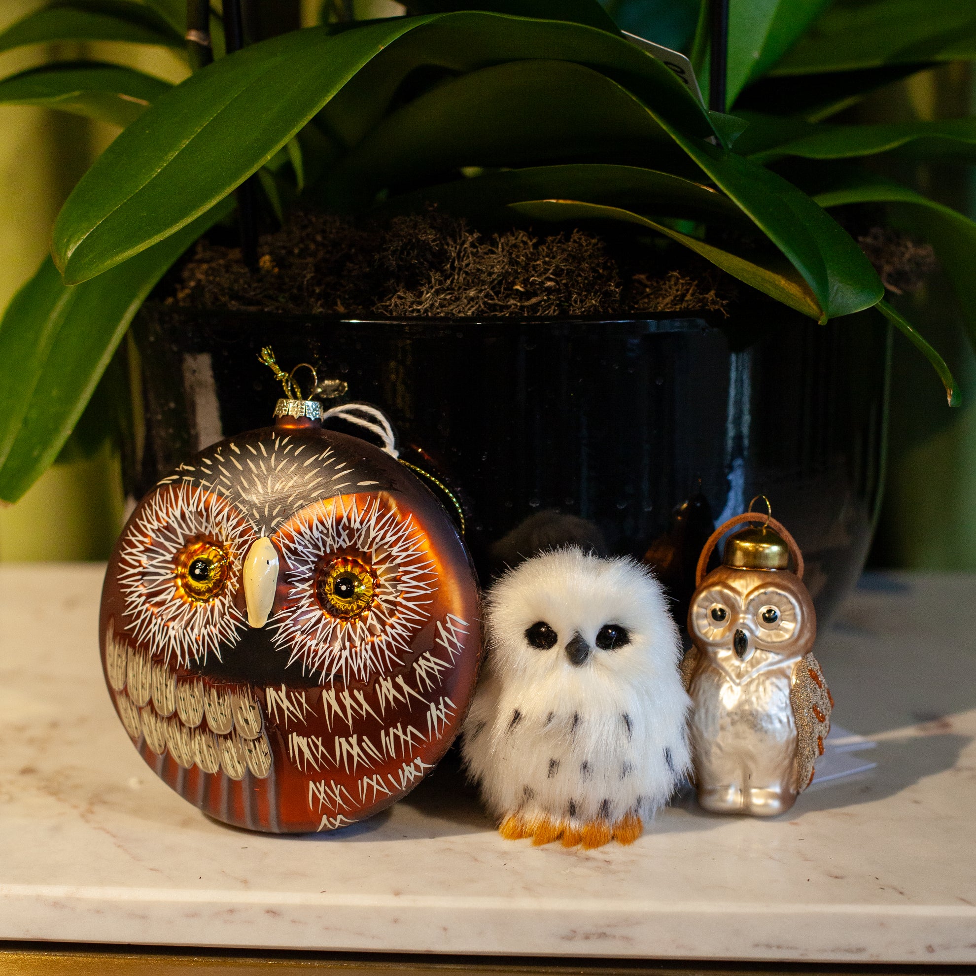 Owl Ornament Collection
