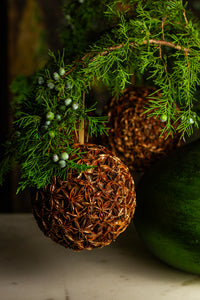 Gilded Star Anise Bulb Ornament, Set of 3