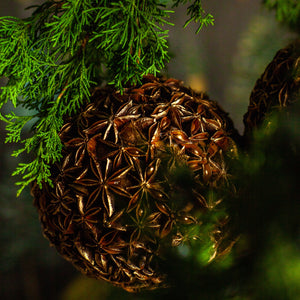 Gilded Star Anise Bulb Ornament, Set of 3