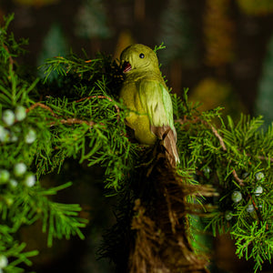 Green Tail Feather Bird Ornament