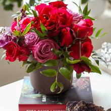 Load image into Gallery viewer, Designer's Choice RED
