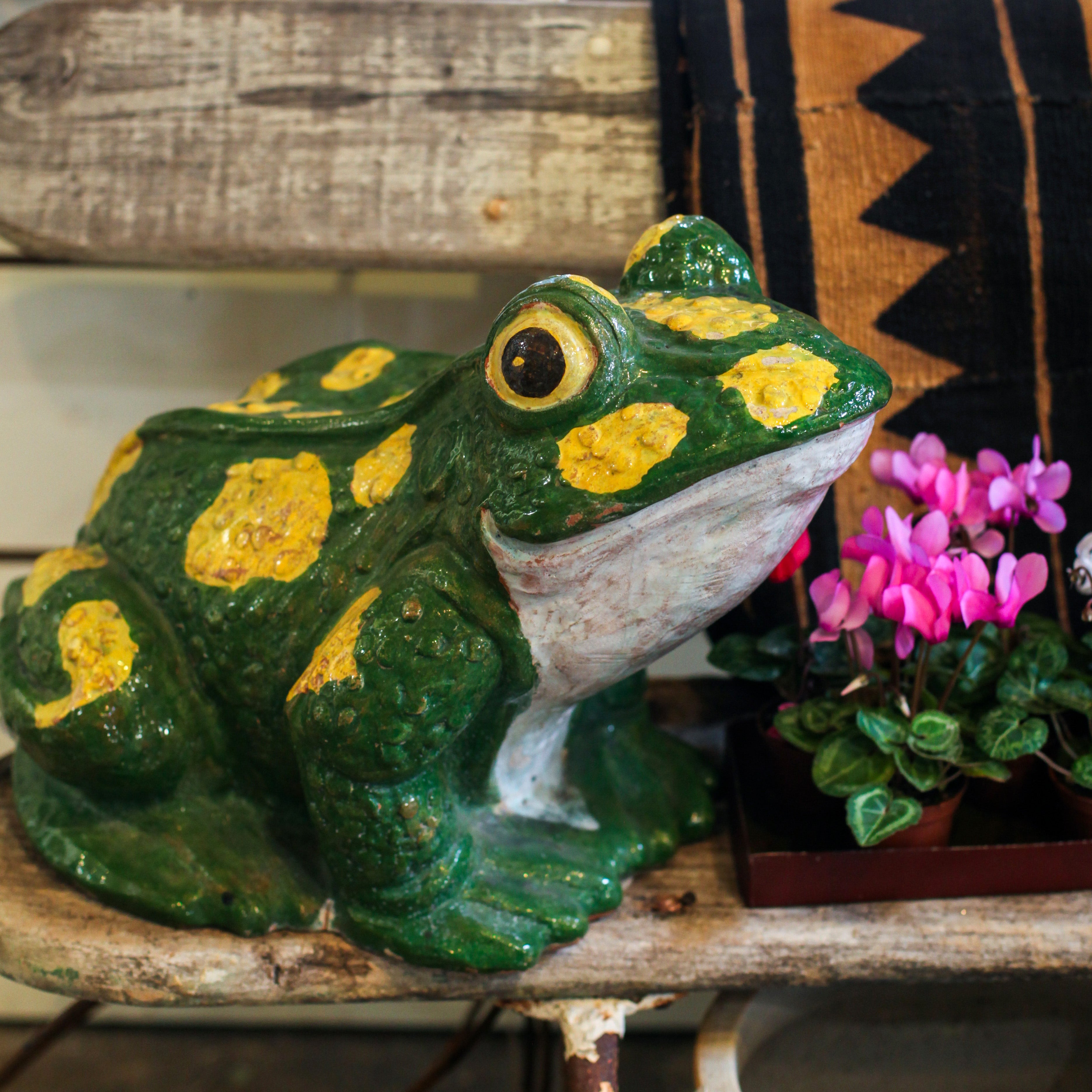 Majolica Frog – fleurdetroit