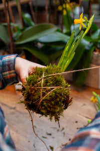 Kokedama Workshop - Saturday, April 12