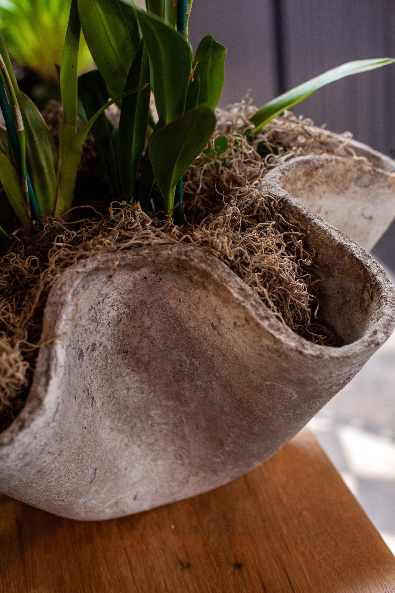 wavy plant pot Willy Guhl Wavy Planter – fleurdetroit