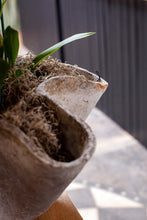 Load image into Gallery viewer, Willy Guhl Wavy Planter
