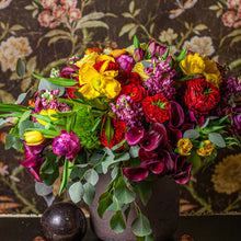 Load image into Gallery viewer, Designer&#39;s Choice BRIGHT &amp; BOLD
