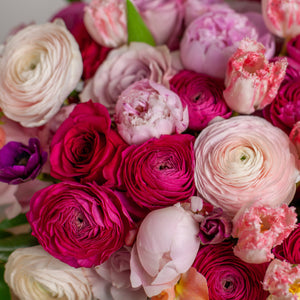 Designer's Choice PINK