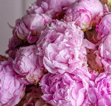 Load image into Gallery viewer, Peony Bundle
