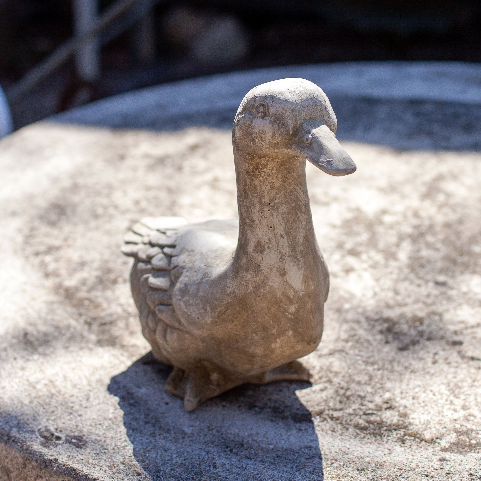 Cast Stone Quackers Duck