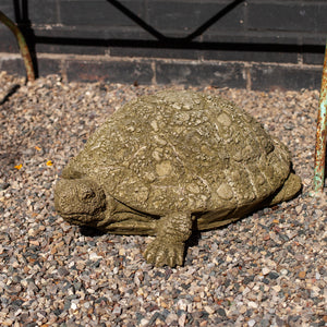 Cast Stone Ole Crusty Turtle