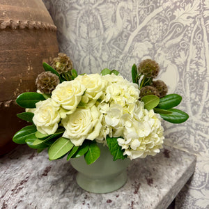 Designer's Choice GREEN & WHITE