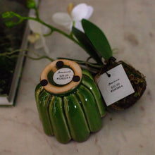 Load image into Gallery viewer, Green Freya Mini Ceramic Scalloped Pot with Faux Orchid
