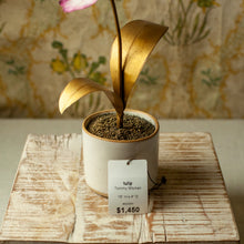 Load image into Gallery viewer, Tommy Mitchell Tulip Sculpture with Gold Stem
