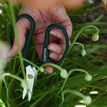 Load image into Gallery viewer, Sowvital Gardener&#39;s Pruning Scissors
