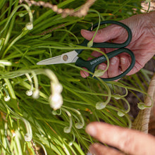 Load image into Gallery viewer, Sowvital Gardener&#39;s Pruning Scissors
