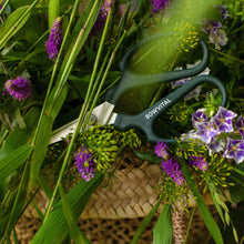 Load image into Gallery viewer, Sowvital Gardener&#39;s Pruning Scissors
