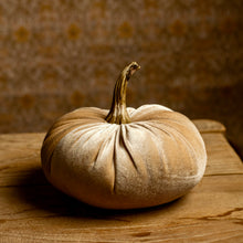 Load image into Gallery viewer, Velvet Stuffed Pumpkin, 6.25&quot;
