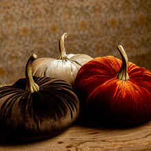 Load image into Gallery viewer, Velvet Stuffed Pumpkin, 6.25&quot;
