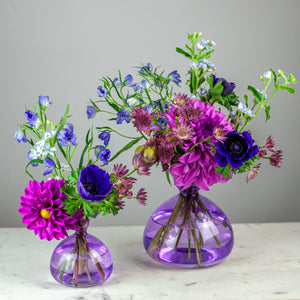 Designer's Choice BLUE-VIOLET