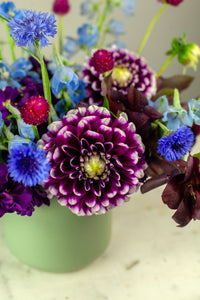 Designer's Choice BLUE-VIOLET