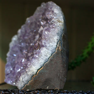 Amethyst Crystal with Cut Base