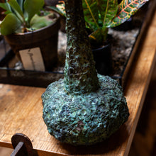 Load image into Gallery viewer, Vintage Bronze Vase
