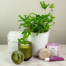 Load image into Gallery viewer, Plant Bundle Gift Set
