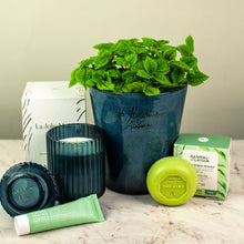 Load image into Gallery viewer, Plant Bundle Gift Set

