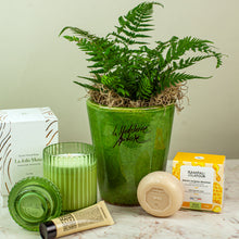 Load image into Gallery viewer, Plant Bundle Gift Set
