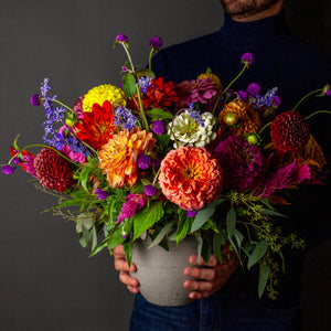 Designer's Choice JEWEL TONES