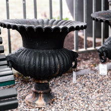 Load image into Gallery viewer, Woodbury Cast Iron Urns, Pair C 1880

