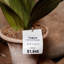 Load image into Gallery viewer, Tommy Mitchell Foxglove Sculpture in Pot

