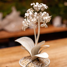 Load image into Gallery viewer, Tommy Mitchell Double Stem White Primula Sculpture in Pot
