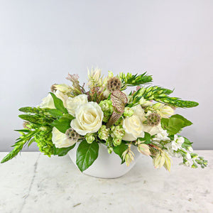 Designer's Choice GREEN & WHITE
