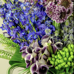 Designer's Choice BLUE-VIOLET