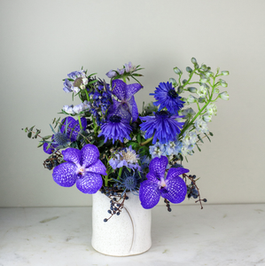 Designer's Choice BLUE-VIOLET
