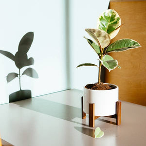 Mid-Century Inspired Table-Top Planter