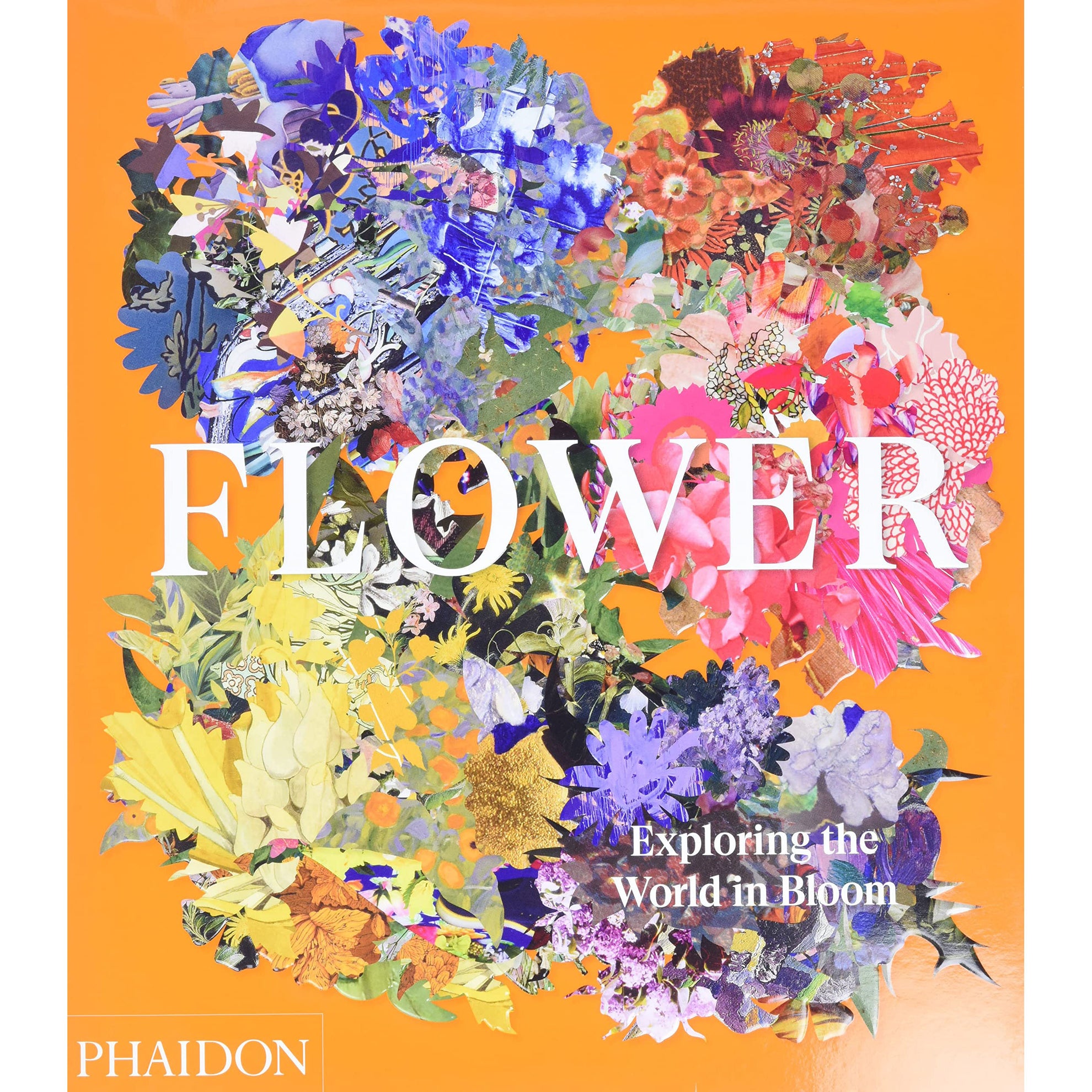 Flower: Exploring the World in Bloom
