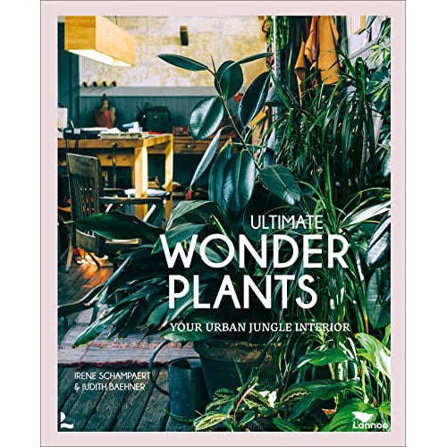 Ultimate Wonder Plants: Your Urban Jungle Interior