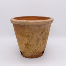 Load image into Gallery viewer, Aged Terracotta Victorian Planter
