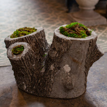 Load image into Gallery viewer, Faux Bois Three Trunk Planter
