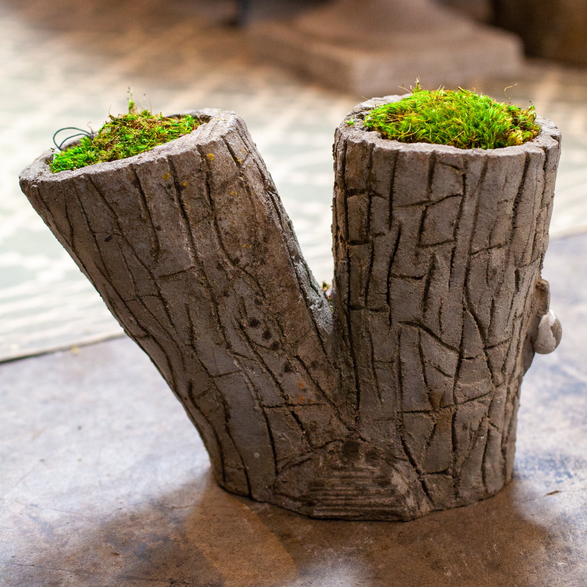 tree trunk plant pot Faux Bois Two Stump Planter – fleurdetroit