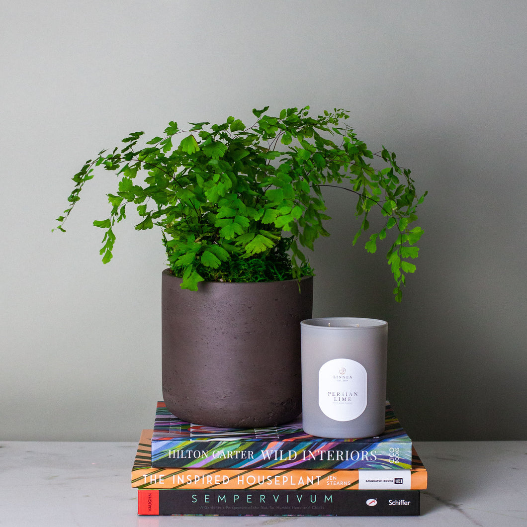 The Green Thumb Gift or Subscription