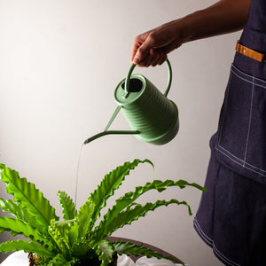 Green indoor watering can