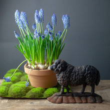 Load image into Gallery viewer, Vintage Cast Iron Sheep Doorstop
