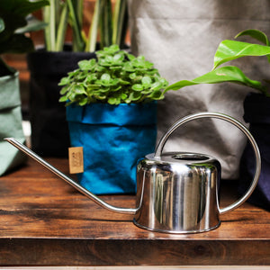 indoor house plant watering can Stainless Steel Watering Can – fleurdetroit