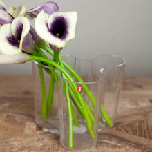Load image into Gallery viewer, Iittala Aalto Vase 4.75&quot; Clear
