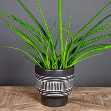 Load image into Gallery viewer, Kojo Vase
