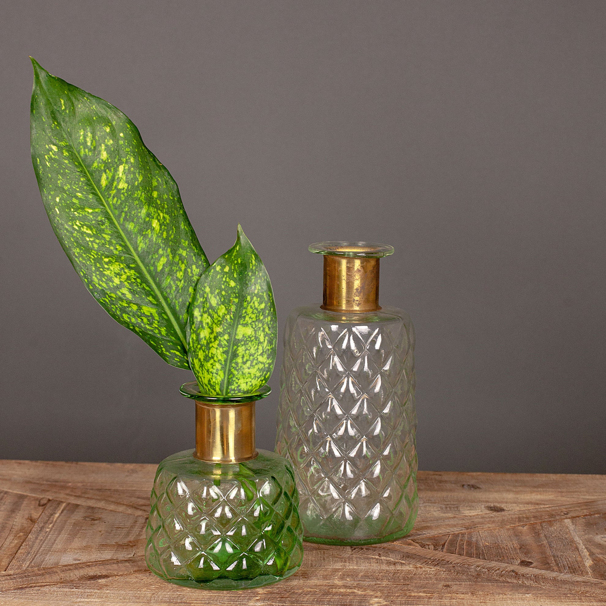 Venta Bottle